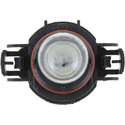 Philips Fog Light Bulb PS19WLLC1
