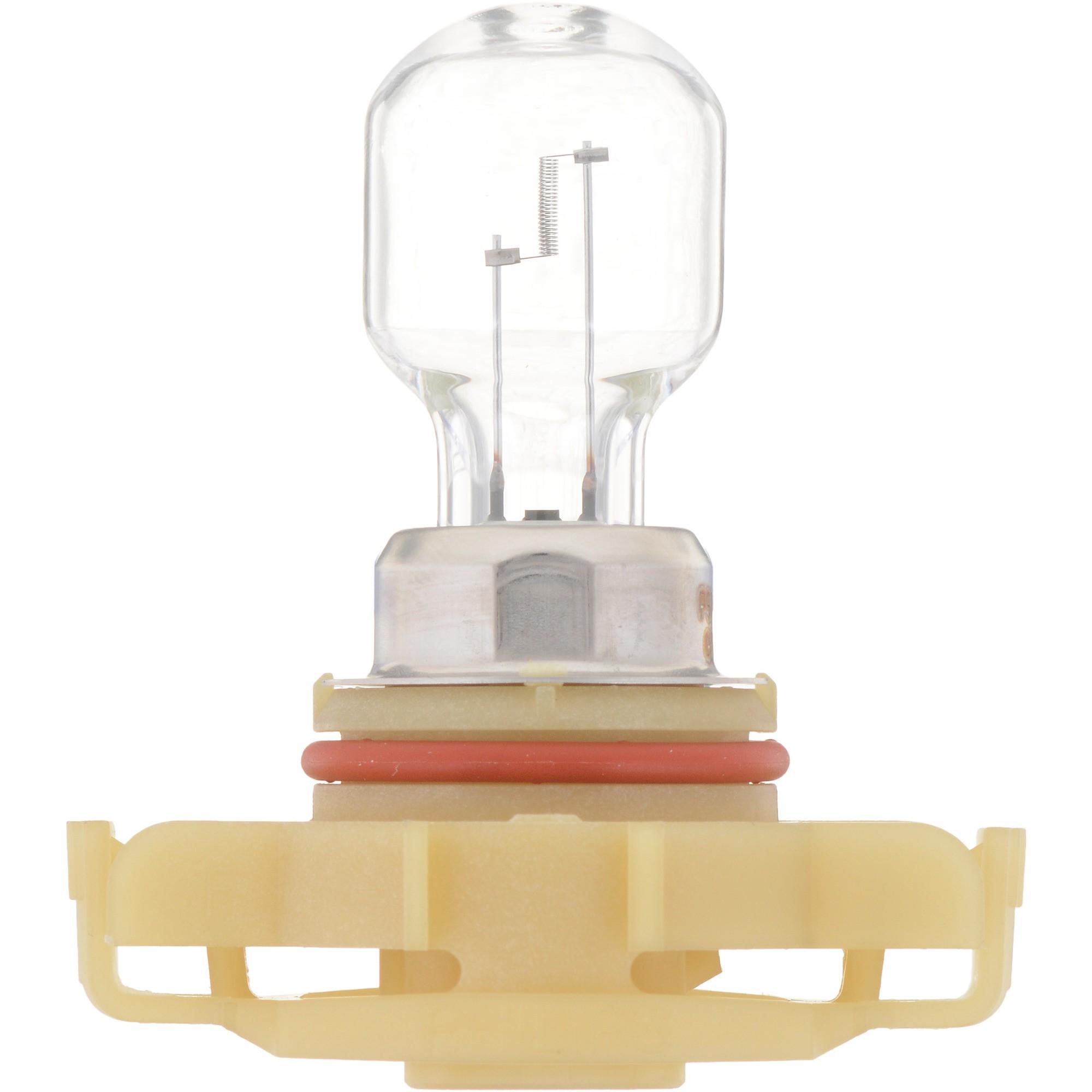 Philips Fog Light Bulb PS24WFFB1