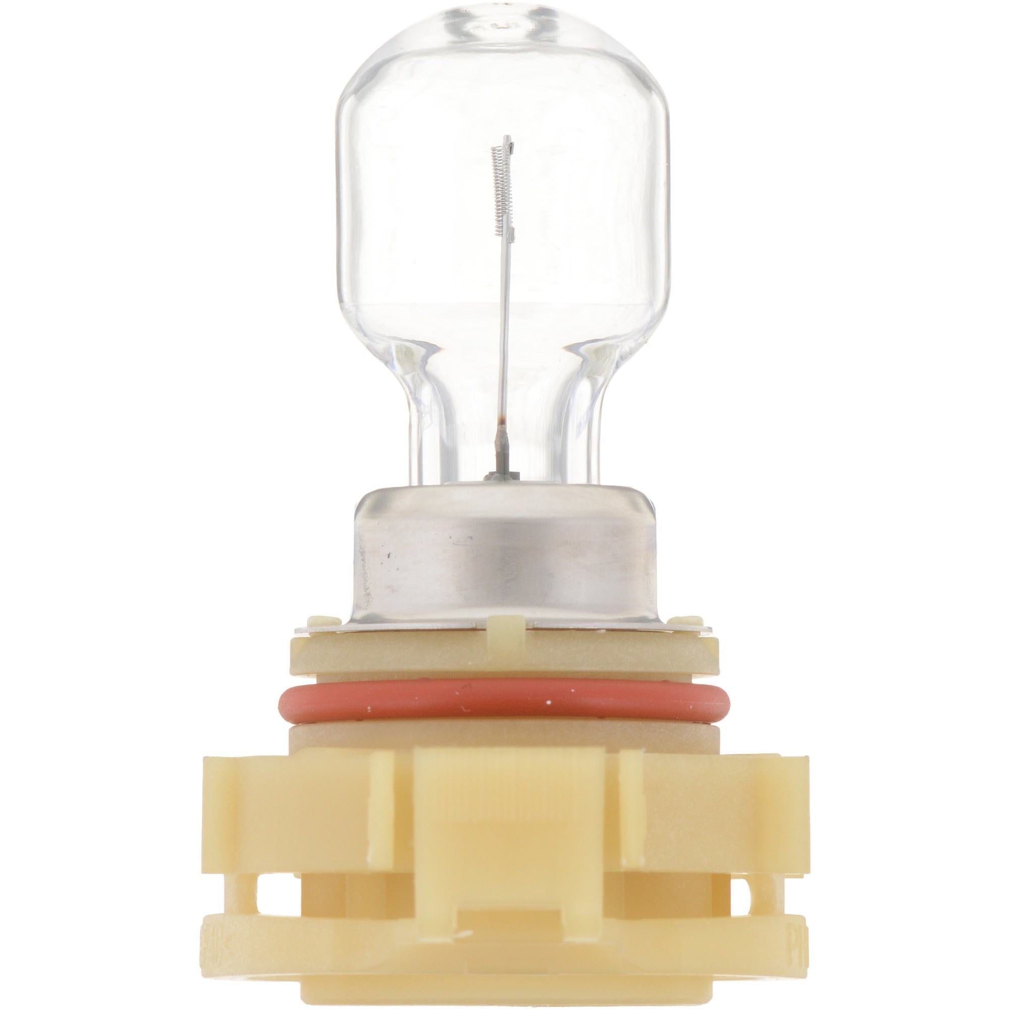 Philips Fog Light Bulb PS24WFFB1