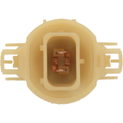 Philips Fog Light Bulb PS24WFFC1