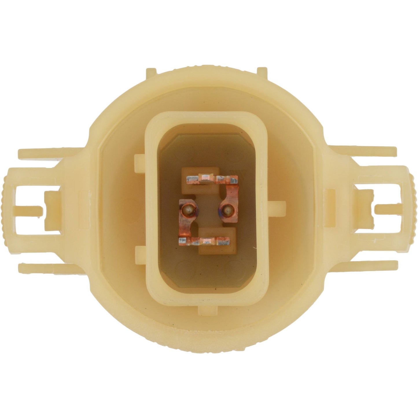 Philips Fog Light Bulb PSX24WCVB1