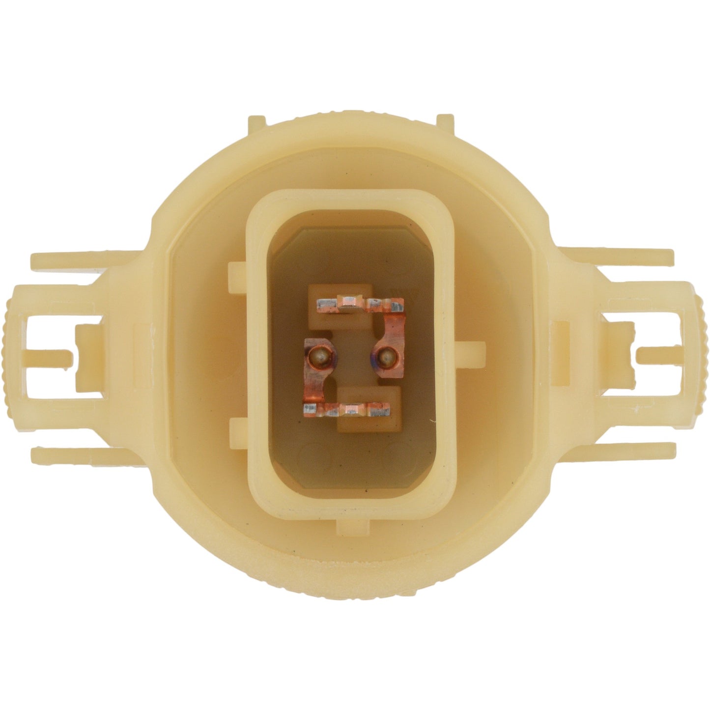 Philips Fog Light Bulb PSX24WCVB1