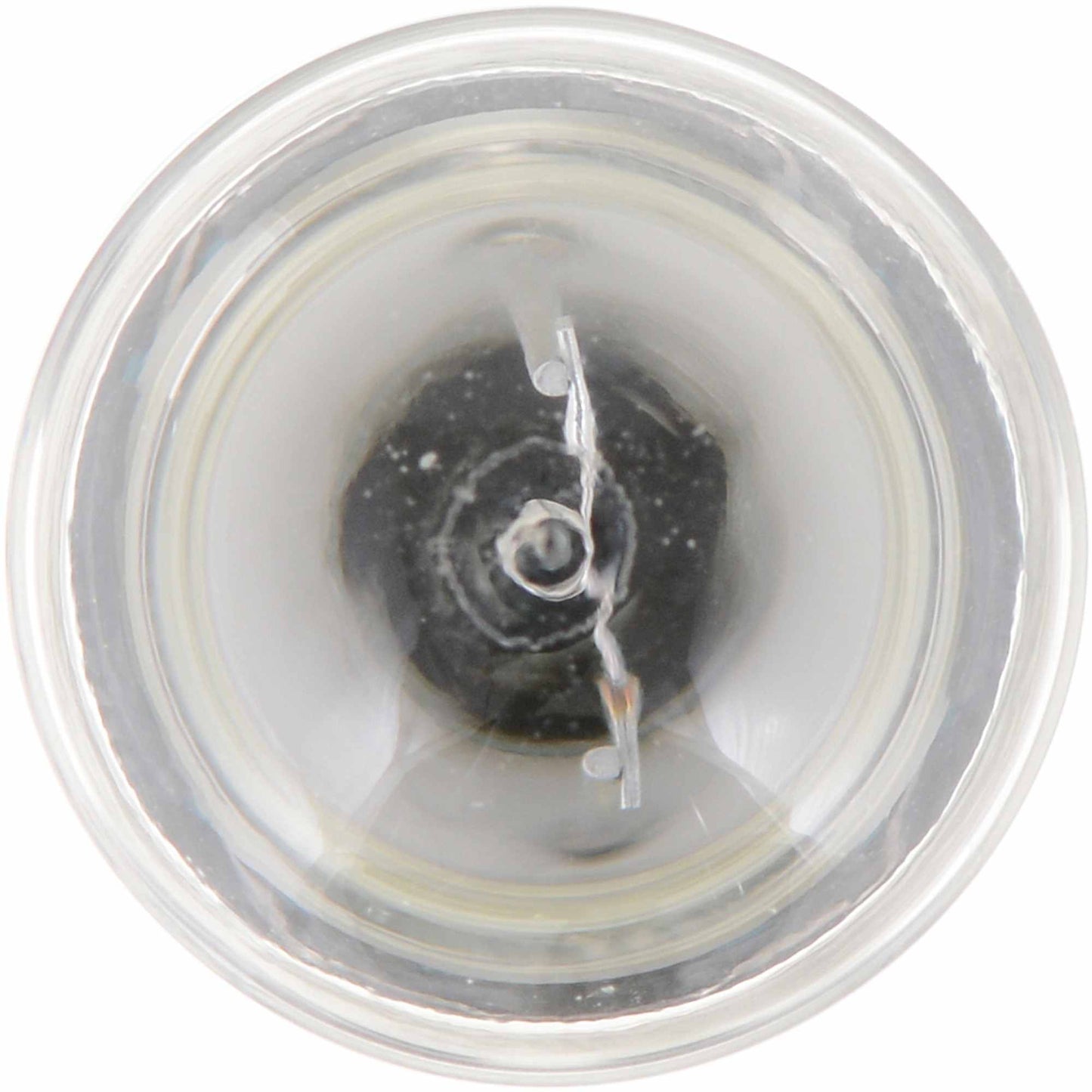 Philips Turn Signal / Parking Light Bulb PW24WHTRC1