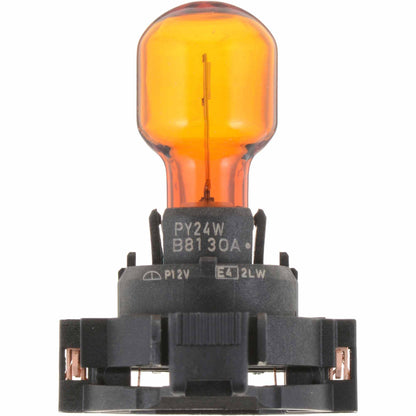 Philips Fog Light Bulb PY24WNAC1