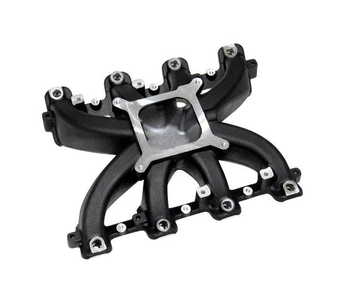 PROFESSIONAL PRODUCTS LS1/LS2/LS6 Hurricane EFI Multi-Port Manifold Air and Fuel Intake Manifolds and Components main image