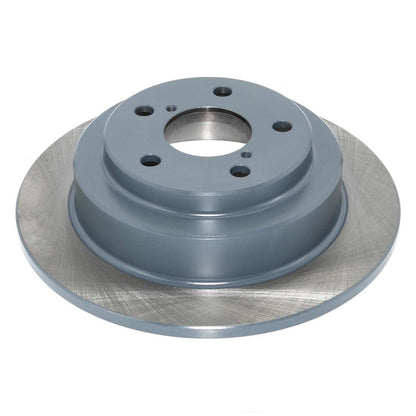 DuraGo DuraGoÂ® Titanium Series Brake Rotor BR31043-01
