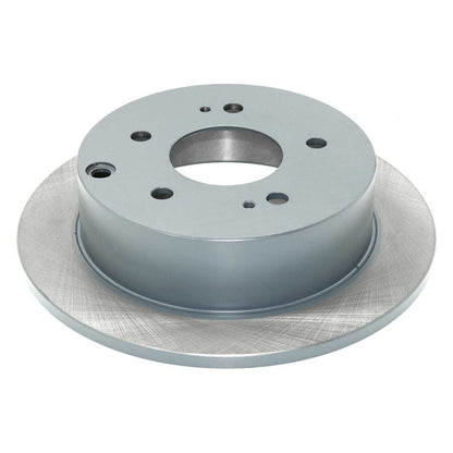DuraGo DuraGoÂ® Titanium Series Brake Rotor BR31360-01