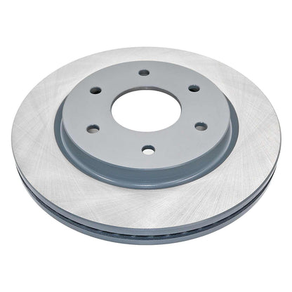 DuraGo DuraGoÂ® Titanium Series Brake Rotor BR900286-01