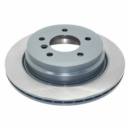 DuraGo DuraGoÂ® Titanium Series Brake Rotor BR900774-01