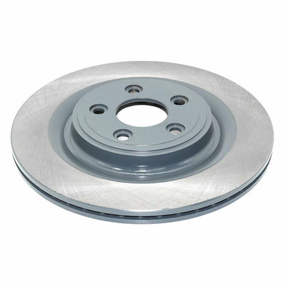 DuraGo DuraGoÂ® Titanium Series Brake Rotor BR901136-01