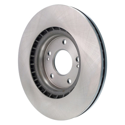 DuraGo DuraGoÂ® Titanium Series Brake Rotor BR901380-01