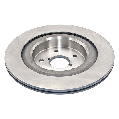 DuraGo DuraGoÂ® Titanium Series Brake Rotor BR901782-01