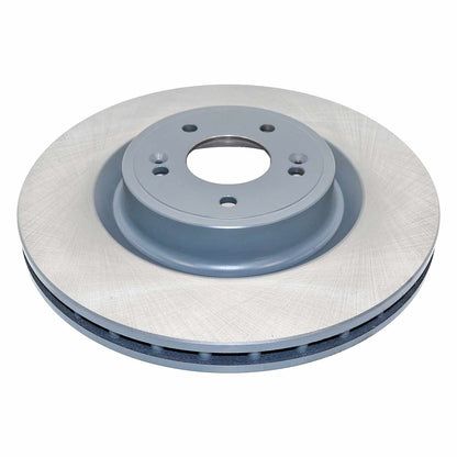 DuraGo DuraGoÂ® Titanium Series Brake Rotor BR901784-01