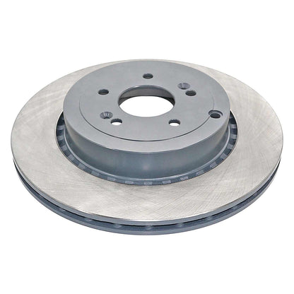 DuraGo DuraGoÂ® Titanium Series Brake Rotor BR901786-01