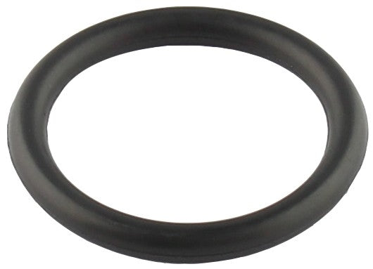 Professional Parts SWEDEN Engine Water Pump O-Ring 21347379