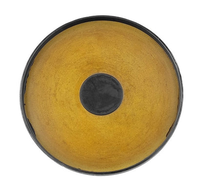 Professional Parts SWEDEN Engine Crankshaft Pulley Cover 21437986
