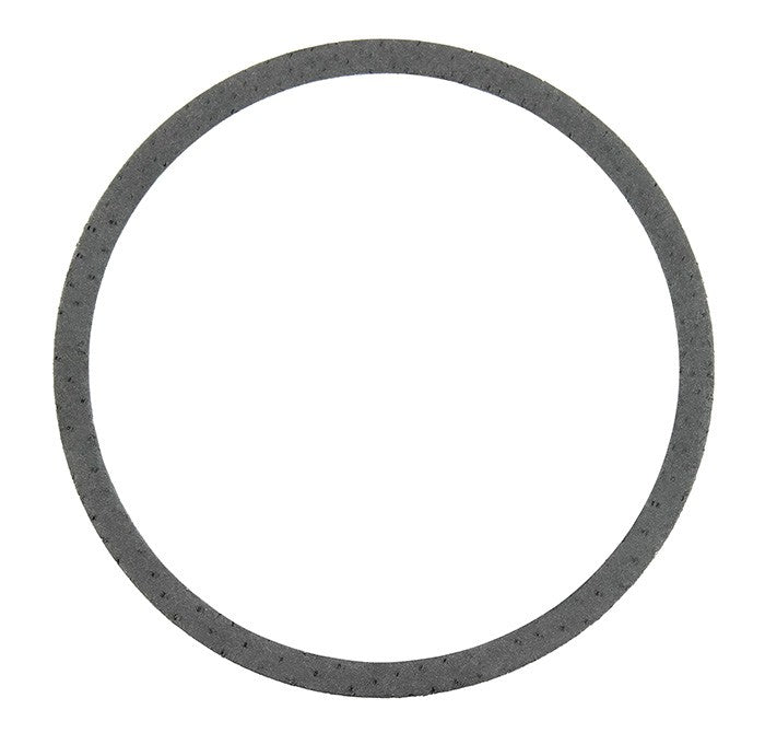Professional Parts Catalytic Converter Gasket 25437190
