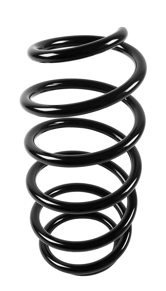 Professional Parts SWEDEN Coil Spring 43415853