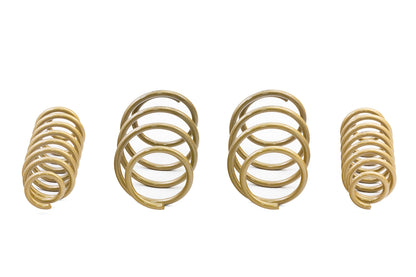 ARK 2018-2021 Toyota Camry GT-S Lowering Springs