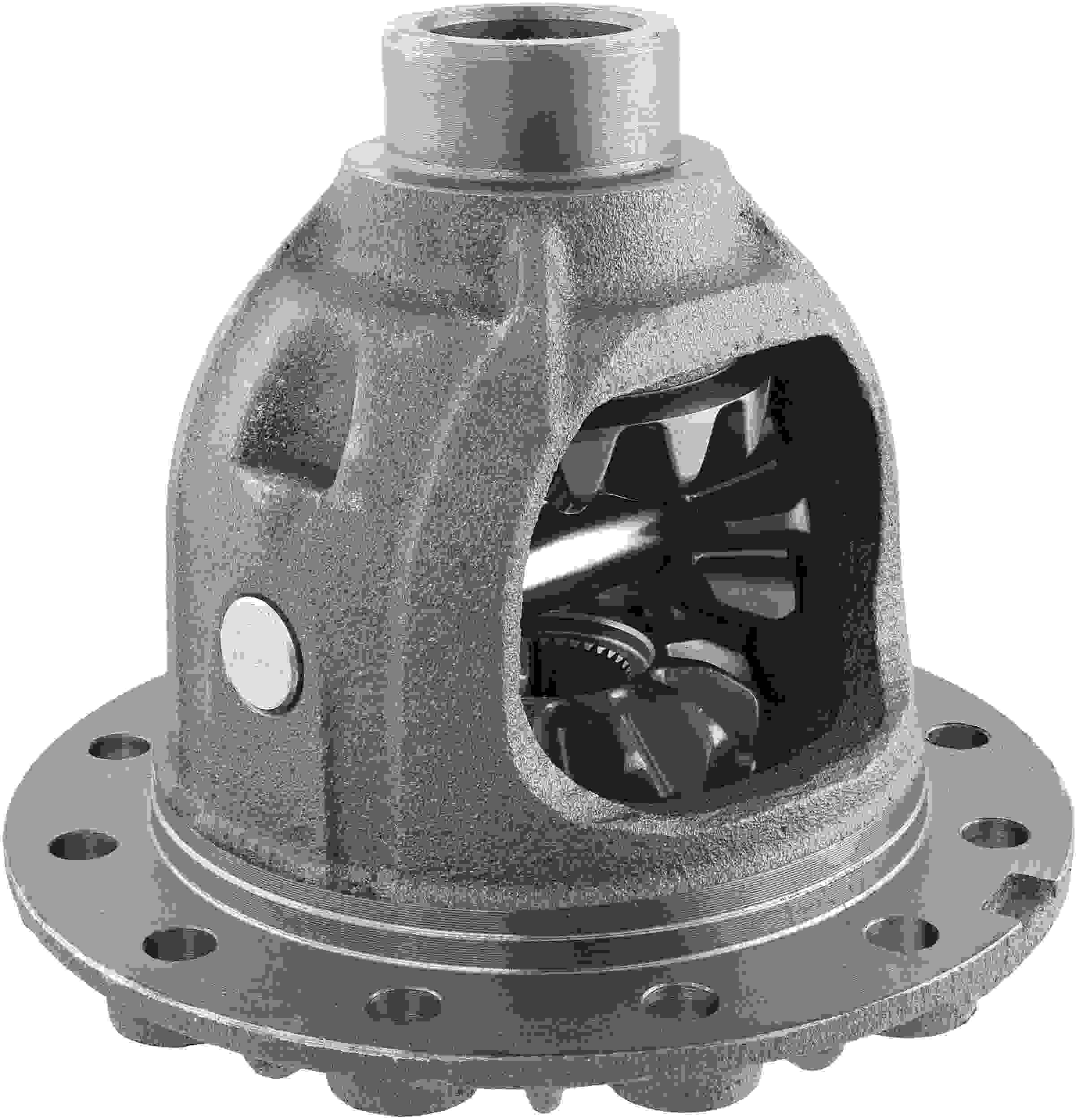 Spicer Differential Case Kit  top view frsport 10010271