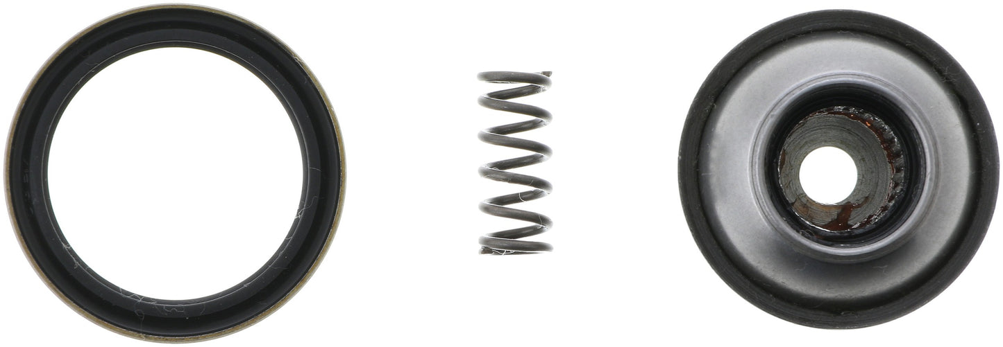 Dana Spicer Chassis Double Cardan CV Ball Seat Repair Kit 10018440 main image