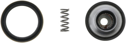 Dana Spicer Chassis Double Cardan CV Ball Seat Repair Kit 10018440 main image