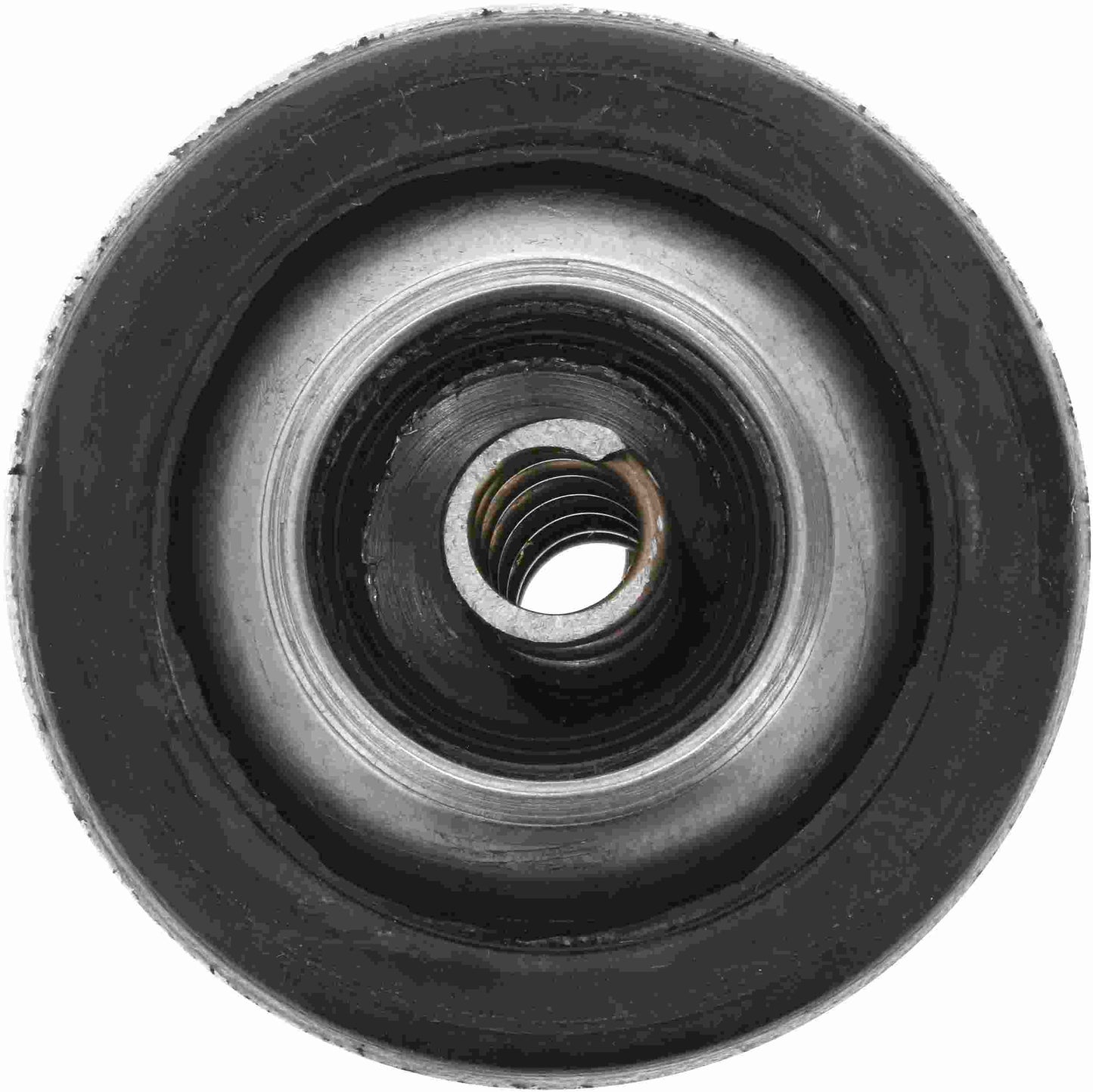 Spicer Double Cardan CV Ball Seat Repair Kit 10018465