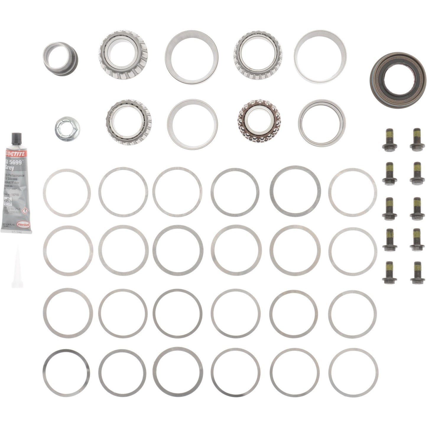 Dana Spicer Chassis Differential Rebuild Kit 10040452 image 3