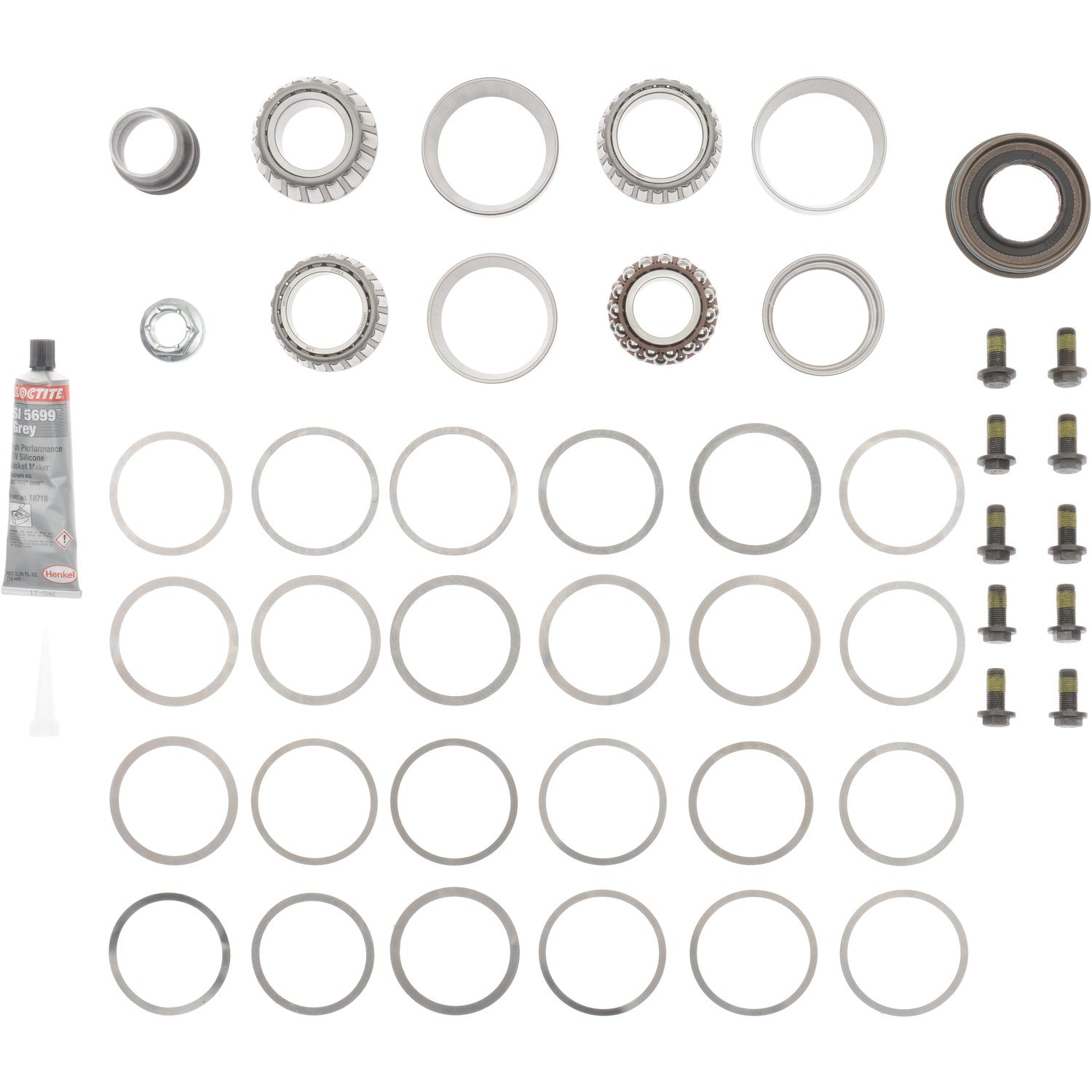 Dana Spicer Chassis Differential Rebuild Kit 10040452 image 3