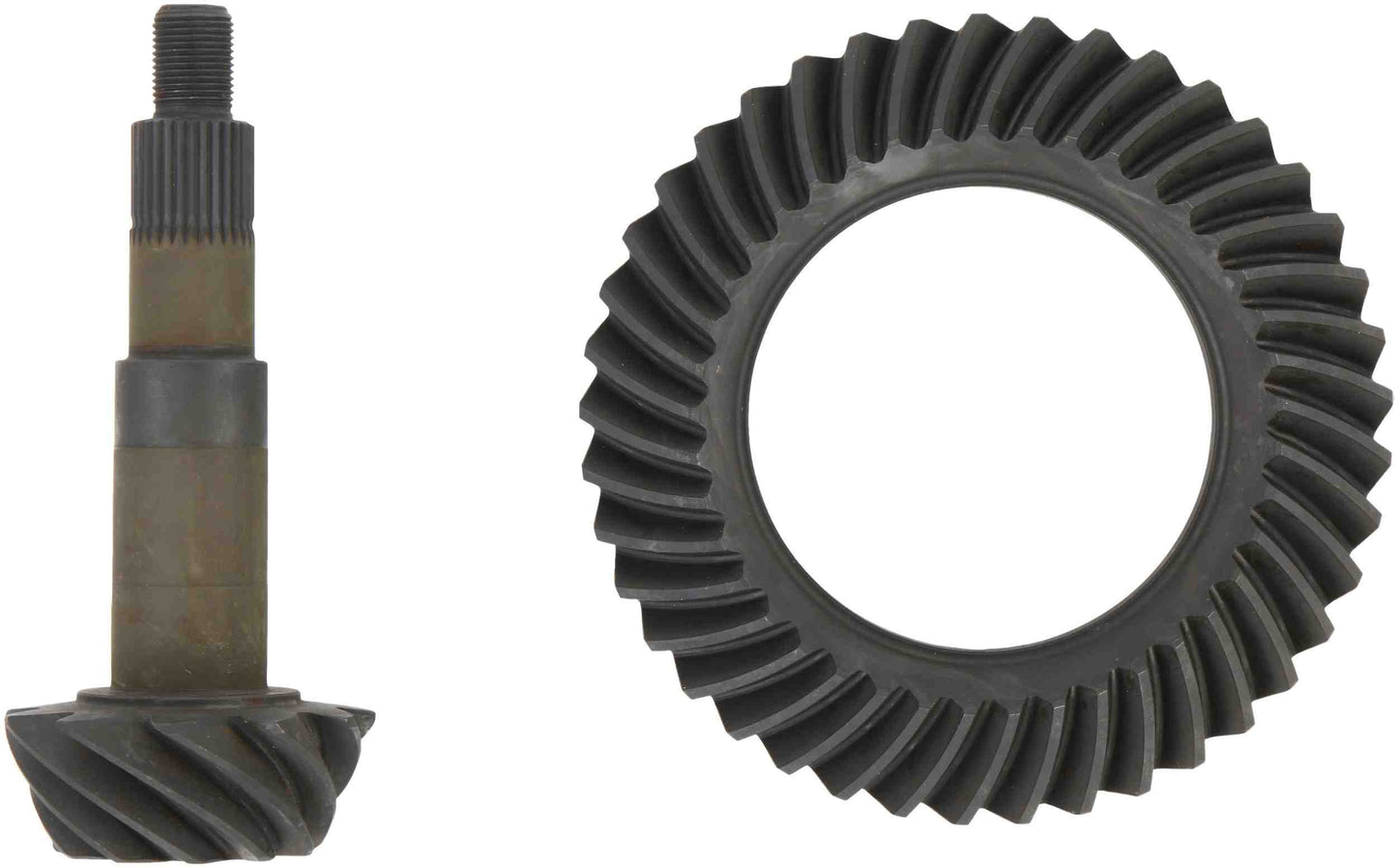 SVL 2023695