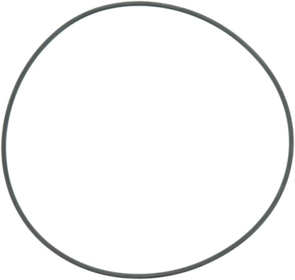 Spicer Locking Hub O-Ring 54983