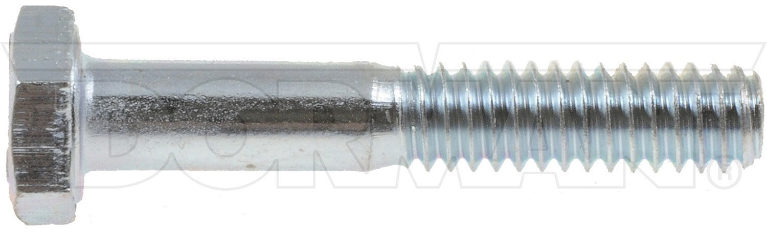 Dorman - Autograde Bolt 170-015