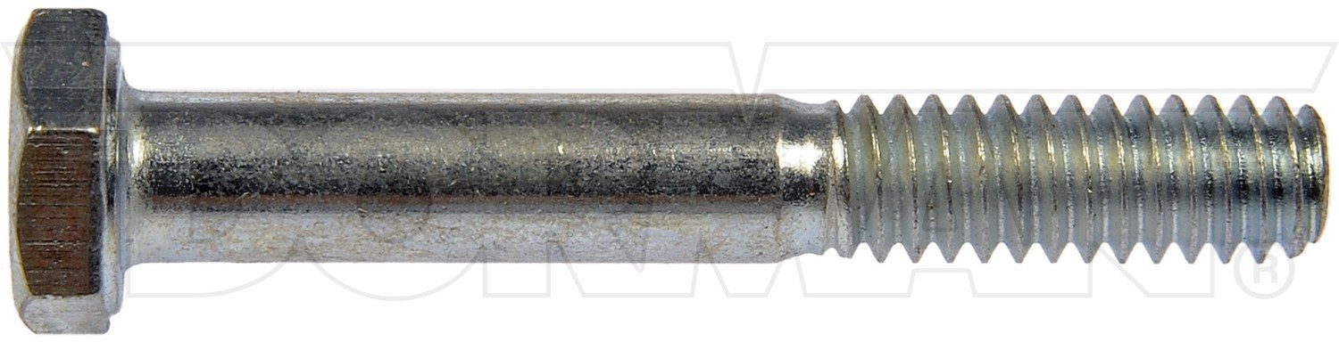 Dorman - Autograde Bolt 170-017