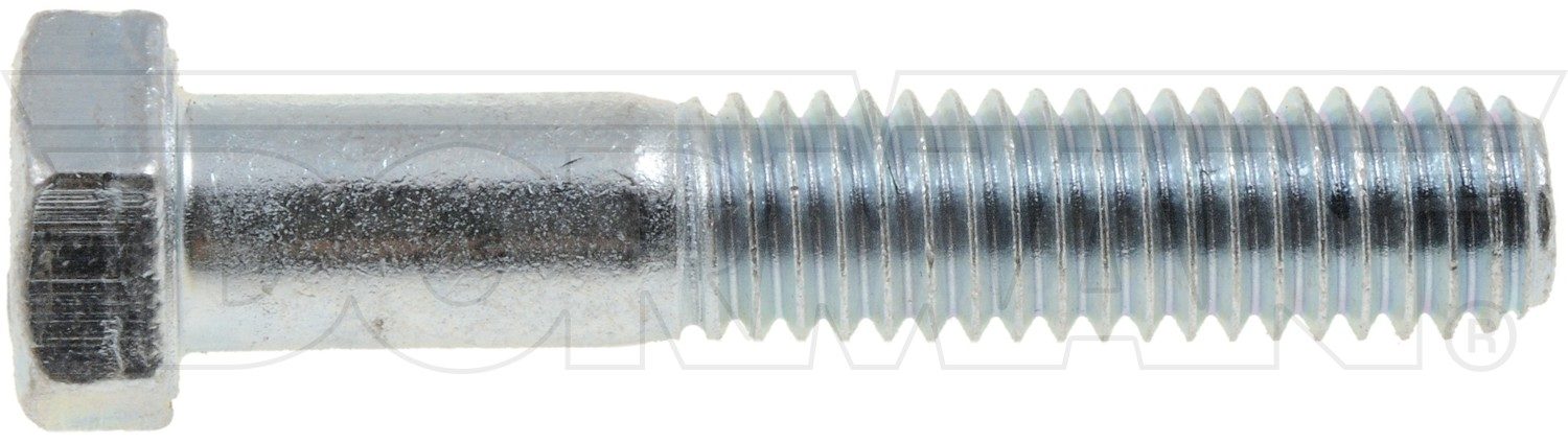 Dorman - Autograde Bolt 170-220