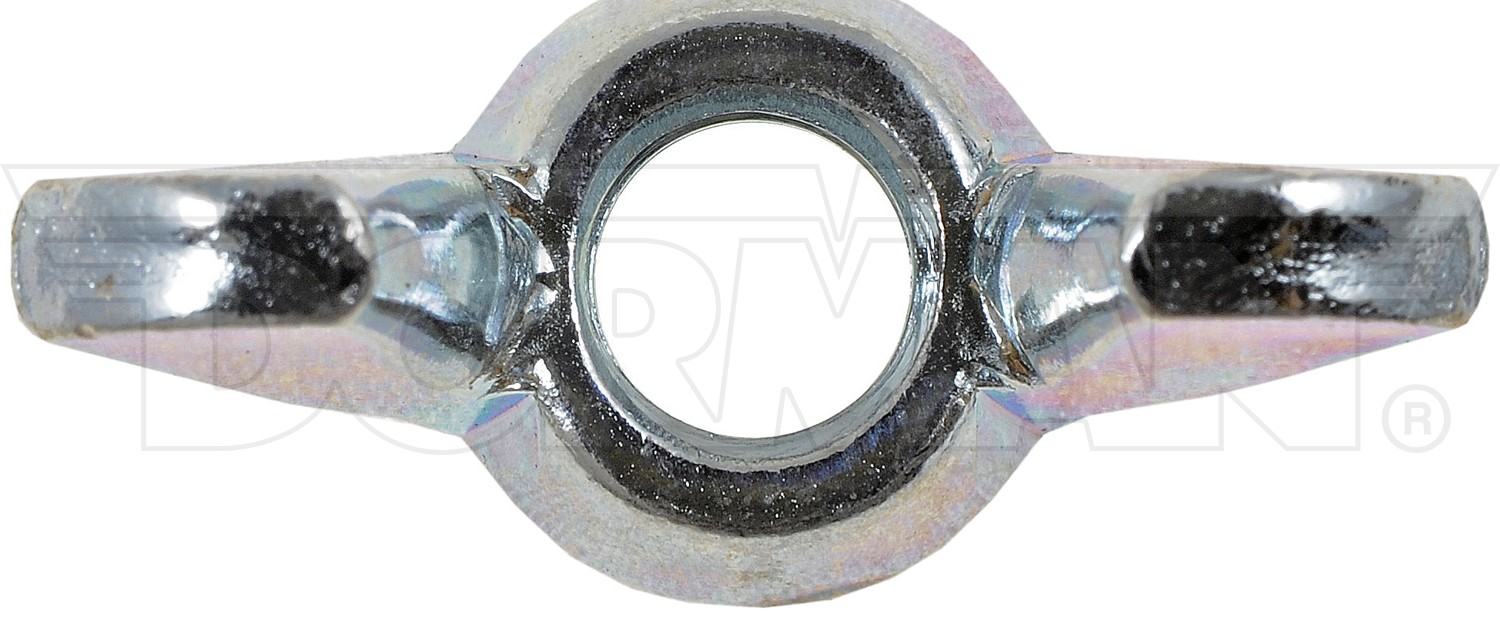 Dorman - Autograde Wingnut 255-011