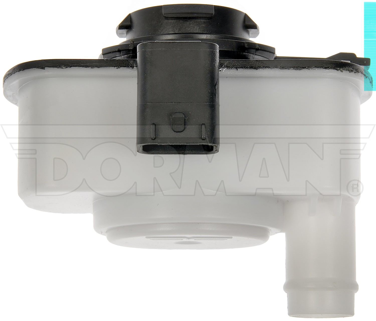 Dorman Leak Detection Pump