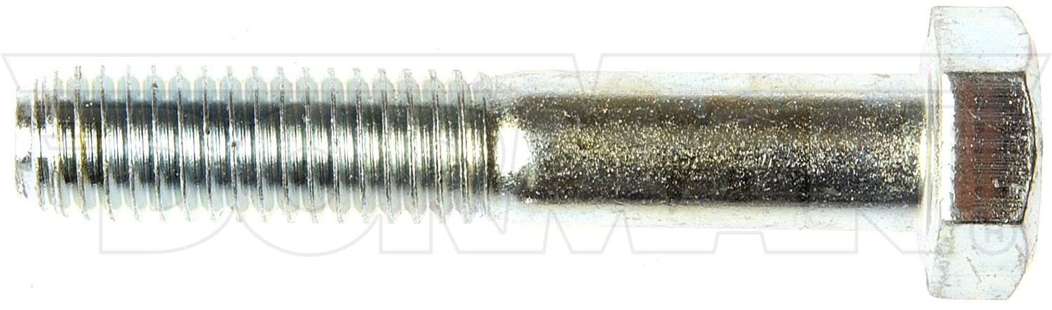 Dorman - Autograde Bolt 423-445