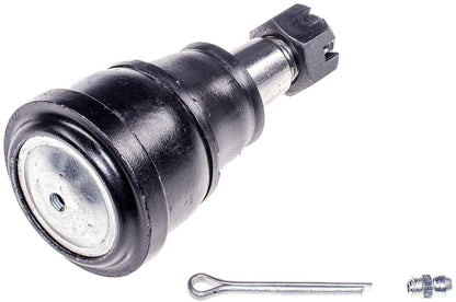 Dorman 533-171