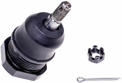 Dorman 533-203