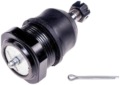 Dorman 533-203