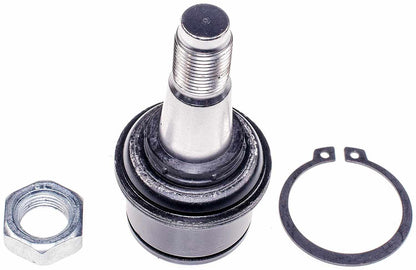 Dorman 533-221