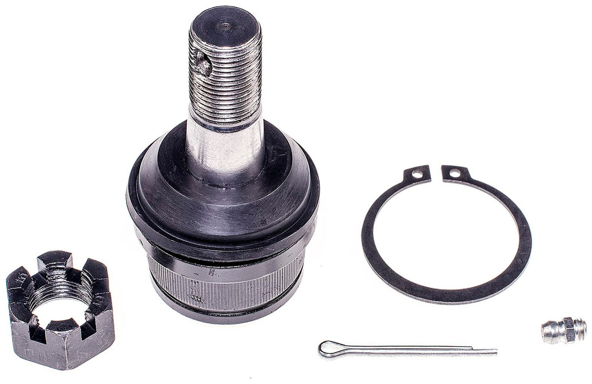 Dorman 533-244