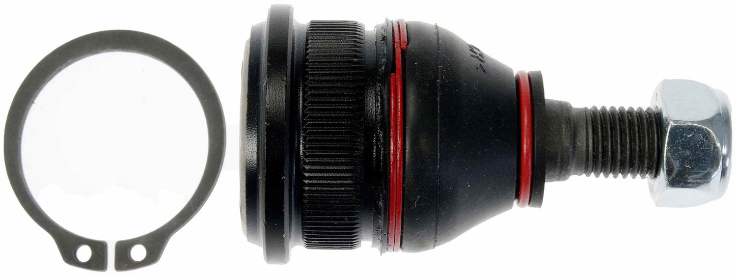 Dorman 538-808
