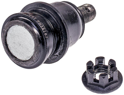 Dorman 539-779