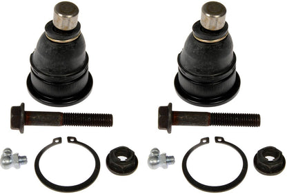 Dorman 541-100