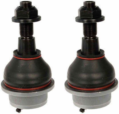 Dorman 541-103