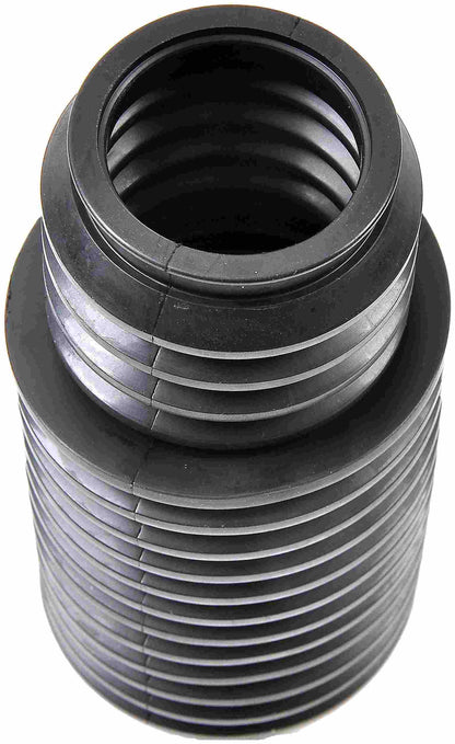 Dorman 541-498