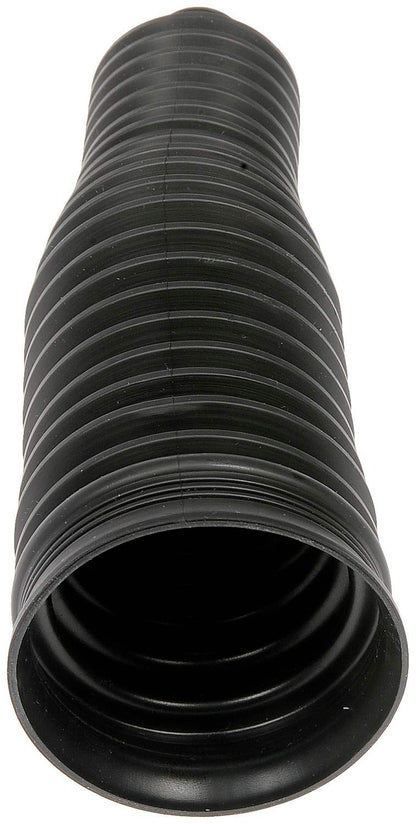 Dorman 541-501