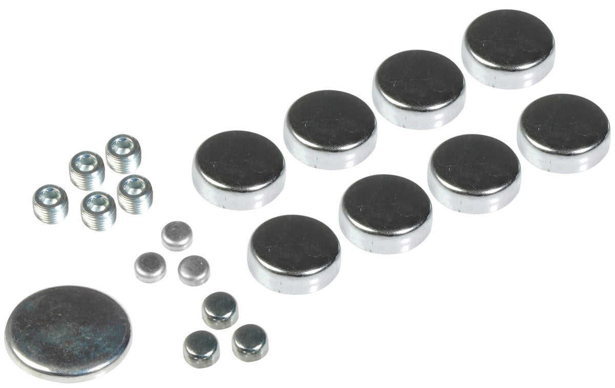 Dorman Autograde Engine Expansion Plug Kit with 15 Plugs and 5 Pipe Plugs for General Motors 557-001