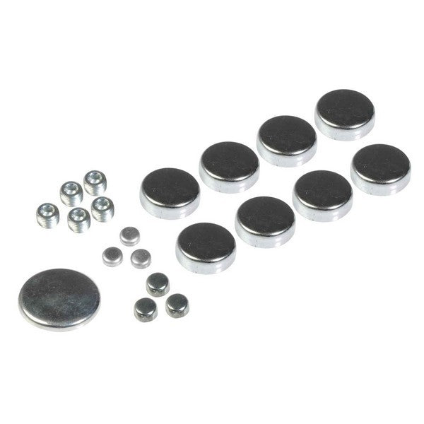 Dorman Autograde Engine Expansion Plug Kit with 15 Expansion and 4 Pipe Plugs for Ford Lincoln Mercury 557-009